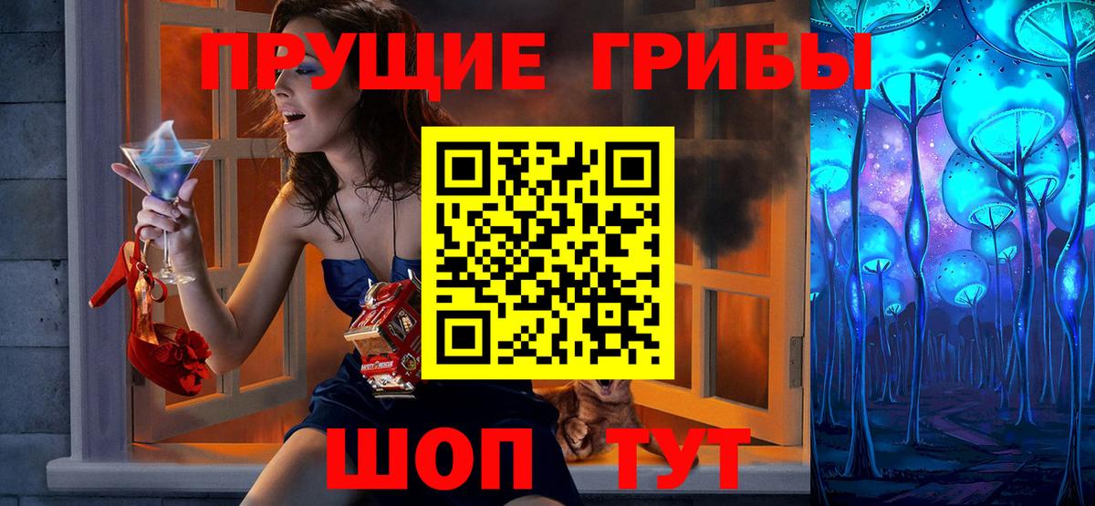 Псилоцибиновые грибы Cubensis Апатиты