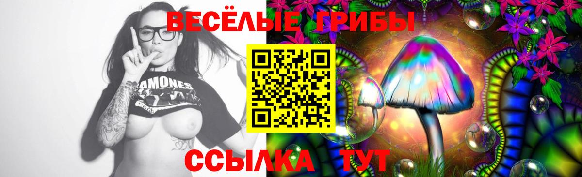 Псилоцибиновые грибы Magic Shrooms  Вход с VPN  Псилоцибиновые грибы Cubensis  Апатиты 